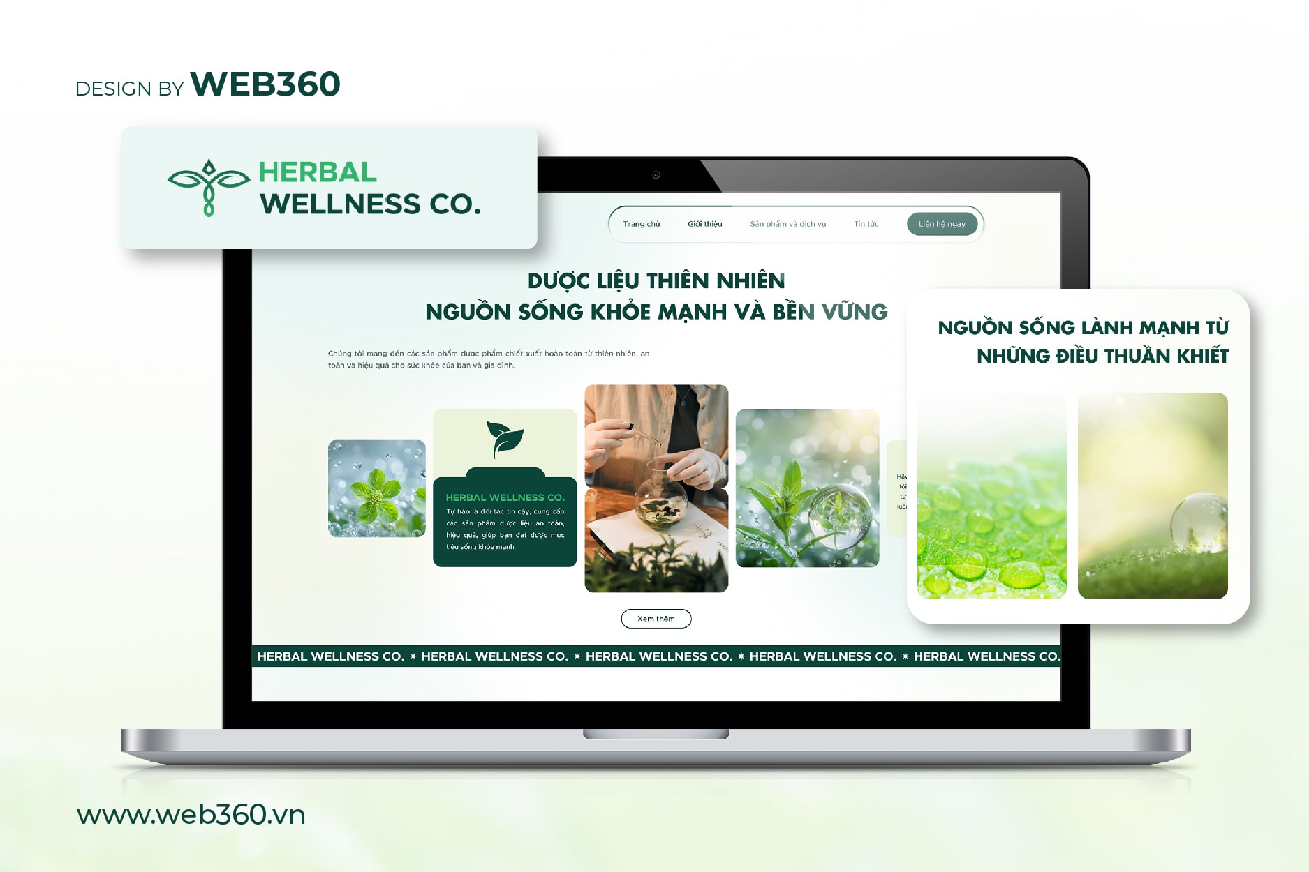 Trang chủ website Herbal Wellness CO