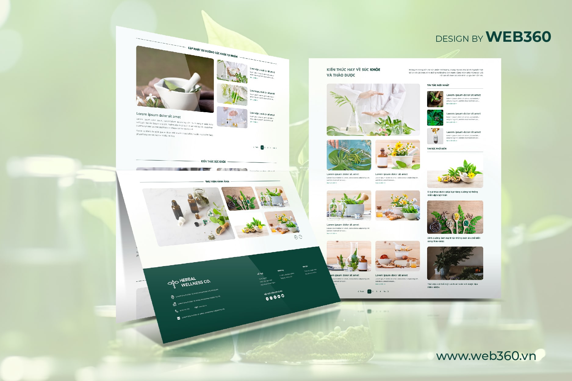 trang tin tức website Herbal Wellness CO